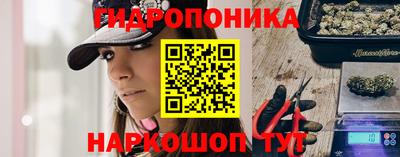 круглые Лесосибирск