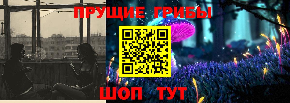 Галлюциногенные грибы мухоморы Камень-на-Оби